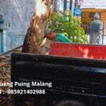 Gambar WhatsApp 2025-03-18 pukul 13.57.14_a5dba1a2