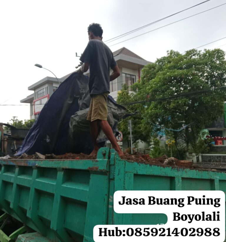 WhatsApp Image 2025-03-24 at 11.07.18